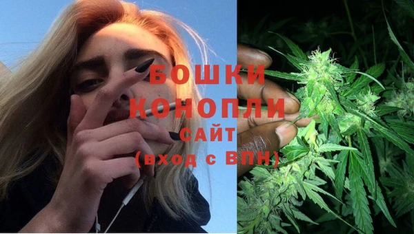 дмт Арсеньев