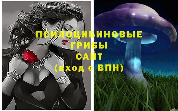 ГАЛЛЮЦИНОГЕННЫЕ ГРИБЫ Армянск