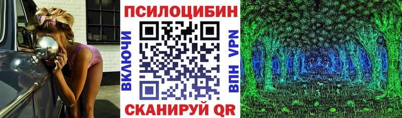 где найти   Баймак  Галлюциногенные грибы ЛСД 