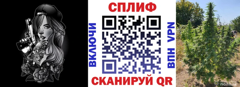 Канабис Amnesia  Баймак 